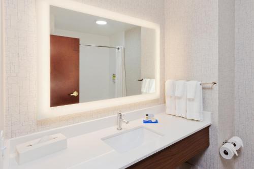Holiday Inn Express Hotel & Suites Dothan North an IHG Hotel - image 4