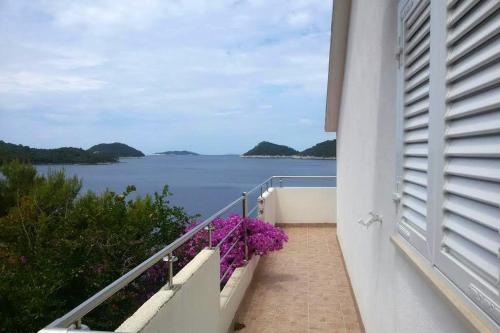 Apartments by the sea Ubli, Lastovo - 8354