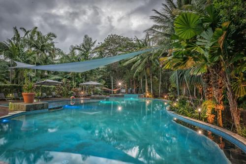 Oasis at Palm Cove