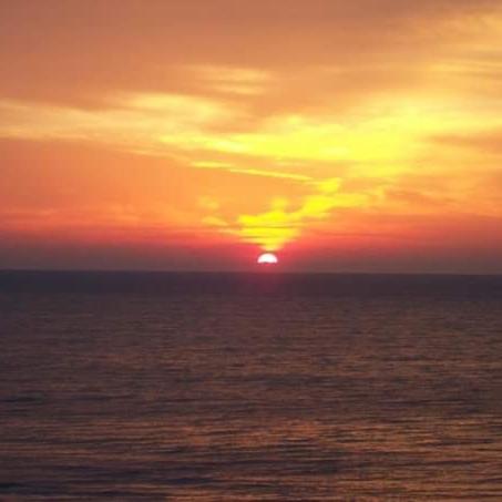 Lee's Myrtle Beach Condo