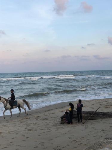 a number of people riding horses on a beach, IBAI BEACH GUESTHOUSE in Kuala Terengganu