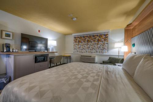 Holiday Inn - Tacoma Mall Room Type - Standard Room, 1 King Bed, Accessible Bathtub (Mobility)