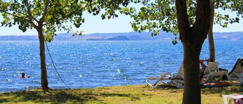  Agriturismo Casale del Contadino in Bolsena