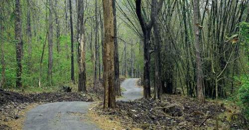 Thenmala Heritage