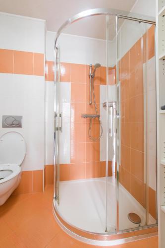 Apartmany Butterfly obrázok