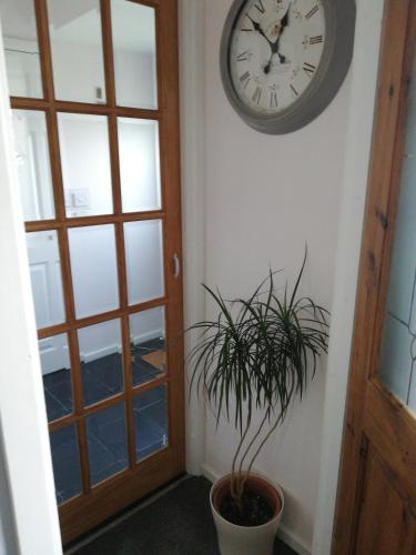 ทัศนียภาพภายนอกโรงแรม, Little Cosy Cwtsh in เทลเบิตกรีน