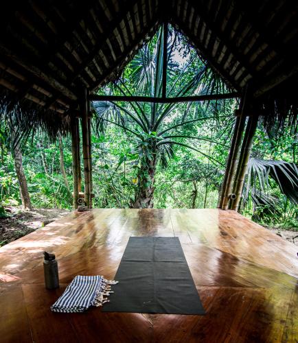 Fitness center, Rio Muchacho Organic Farm in Bahia De Caraquez