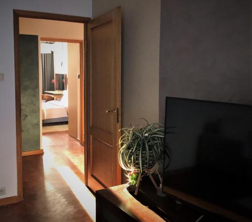 Apartament Koszykowa Latwiec Śródmiescie południowe, Varšava (fotografie 9)