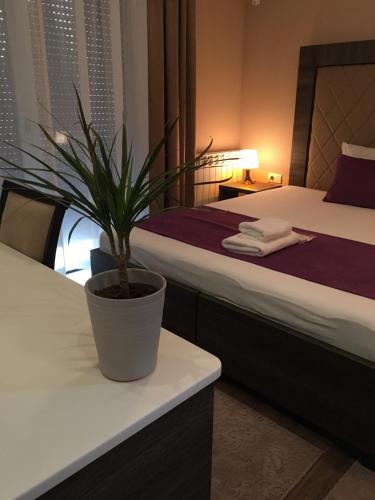 Luxury Apartments 88 - image 14
