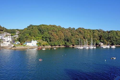 Picture of Fowey River Views