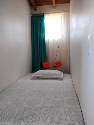 Mayorca Homestay, Medellín (Foto 8)