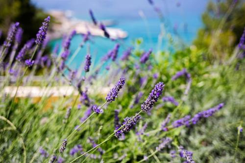 Blue Bay Residence - main image