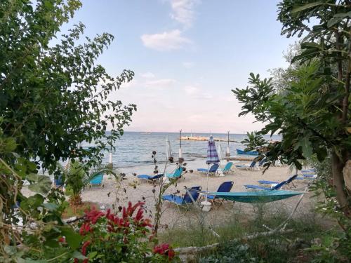  Vassia's Beach Houses in Benitses