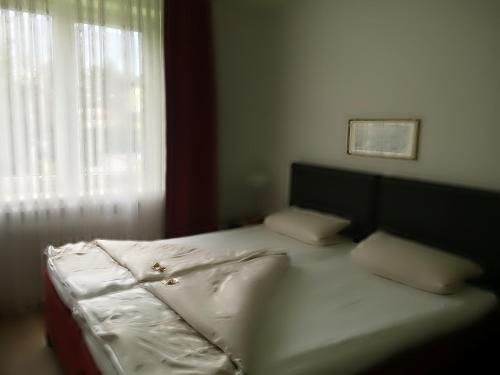 Central Hotel - image 4