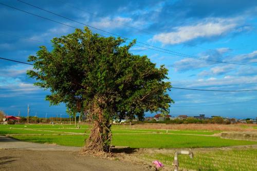 Clare Holiday B&B