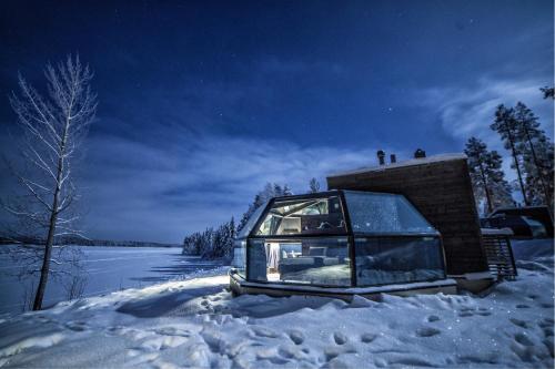 Arctic Fox Igloos