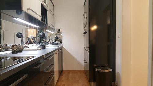 E&E Apartments 4* Arena Stožice, Lublaň (fotografie 7)