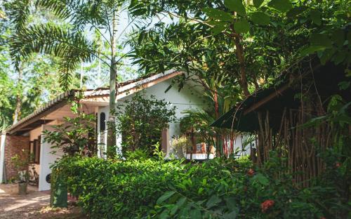 숙소 외관, Nature Rex Hostel in 웰리가마 비치