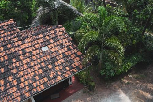 숙소 외관, Nature Rex Hostel in 웰리가마 비치
