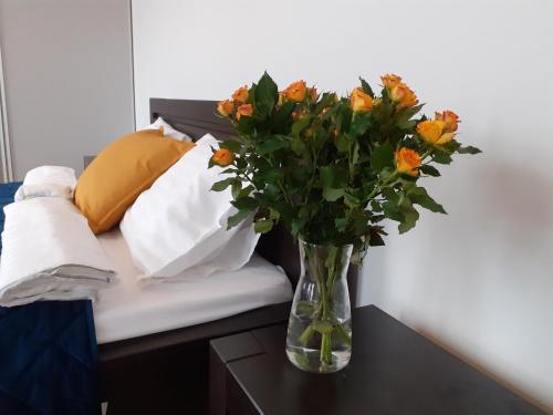 Martens Home Apartment in City Center