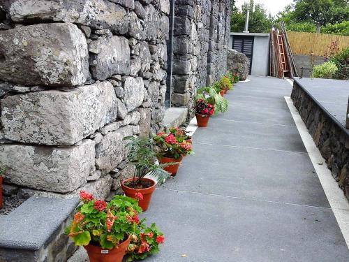 Cottage Quinze & Apartment with Swimming pool 3