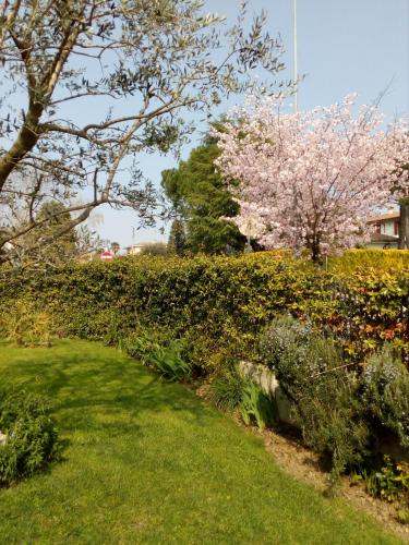 B&B Rosalu - Adults Only 4