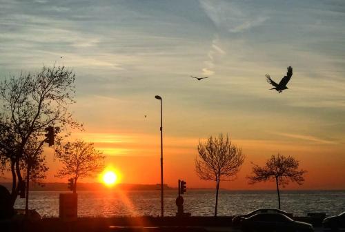 Photo 21 Kalyon Hotel Istanbul