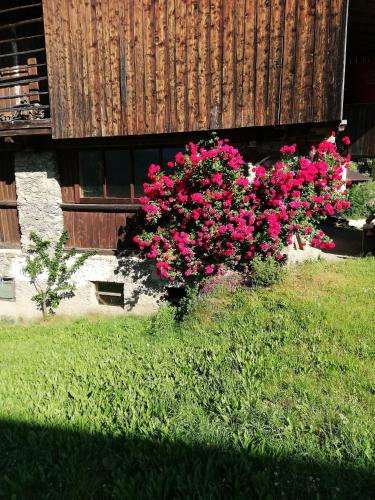 Ledererhof