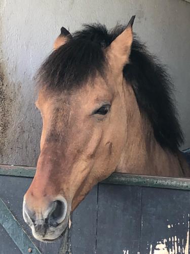 Quinta da Pinheira Lezíria