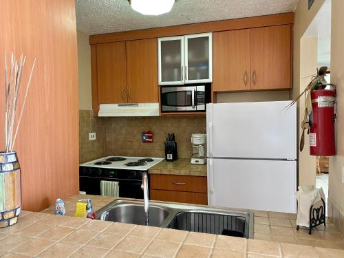 Beachfront 2 bedroom in heart of Isla Verde Beach Marbella del Caribe - image 2