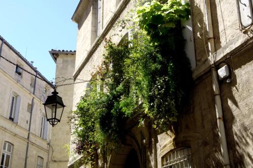 B&B "Chambre d'Autres", Massages