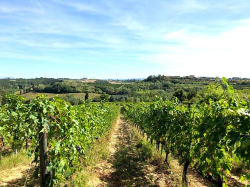 Viesnīcas āriene, La Ginestra - Altana in Lajatico