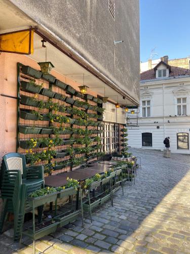 HOUSE OF THE GREATS Apartments Skadarlija - image 13