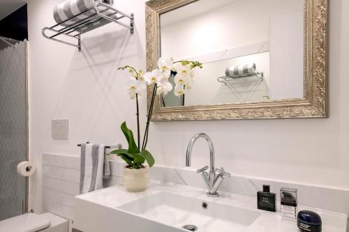 Suite Plumbago - image 5
