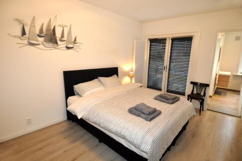 Zaras Studios, Zandvoort