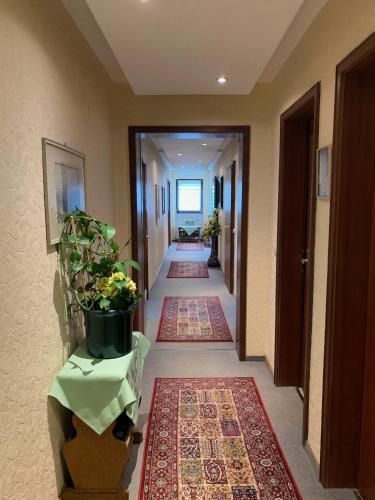 Pension Erna, Zwiesel (photo 7)