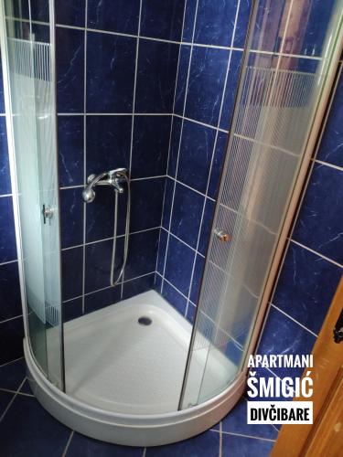 Apartmani Smigic Divcibare - image 8