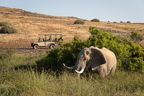 Wilderness Safaris Desert Rhino Camp