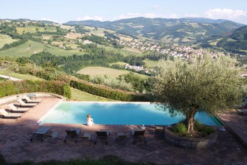 Agriturismo Castagna Alta