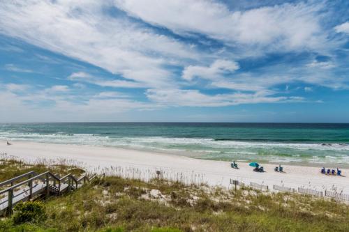 Inlet Beach: Turtle Watch - image 4