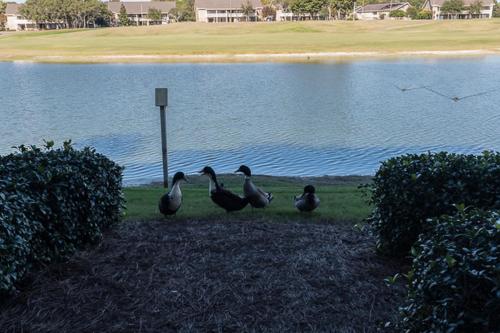 Lakefront By Seascape Resort - main image