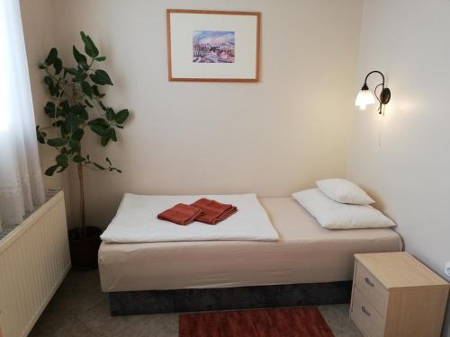 Polus Pension - Accommodation - Sopron