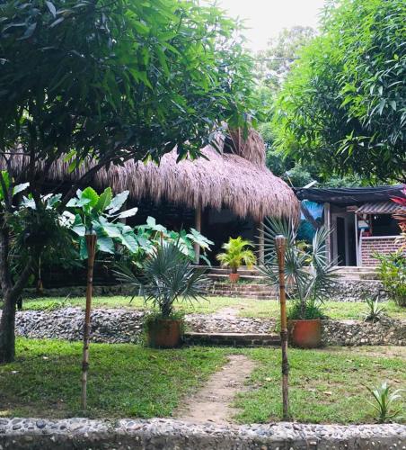 Hostal Mama Tayrona