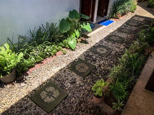 Capung Guesthouse – Badung Regency, CO