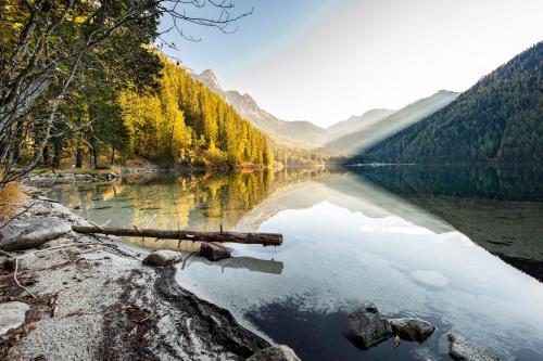 Falkensteiner Hotel & Spa Antholz - Adults only - image 3