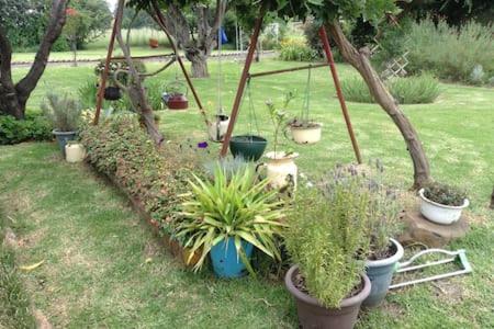 Clarens socialites, Thatch Cottage #1