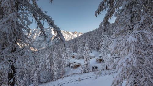 Alpin D'Hôme