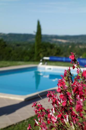 Bois de Cadène BnB Buzet-sur-Baïse
