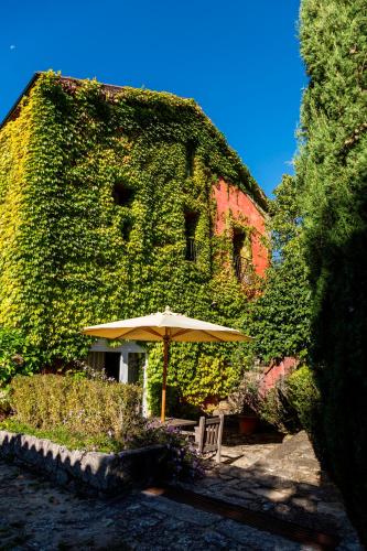 Wine Tourism - Quinta do Ameal - 정원