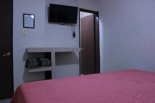 Hotel Plaza Aleman - Photo 2